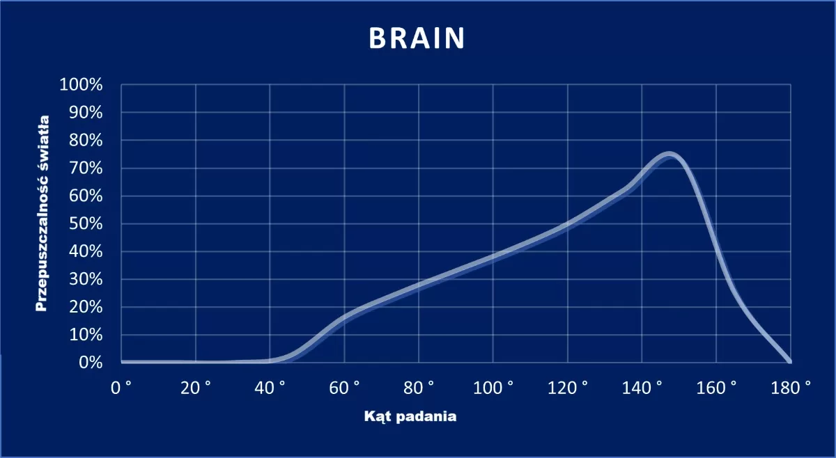 wykres Brain