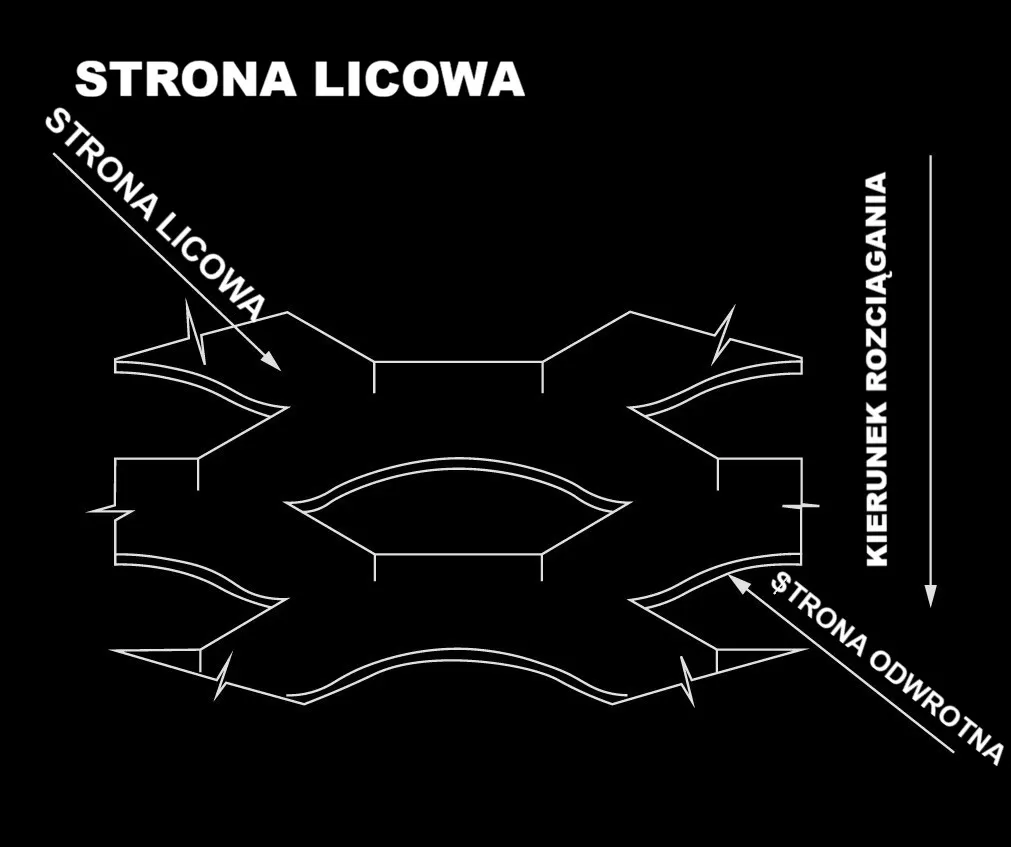 Strona licowa